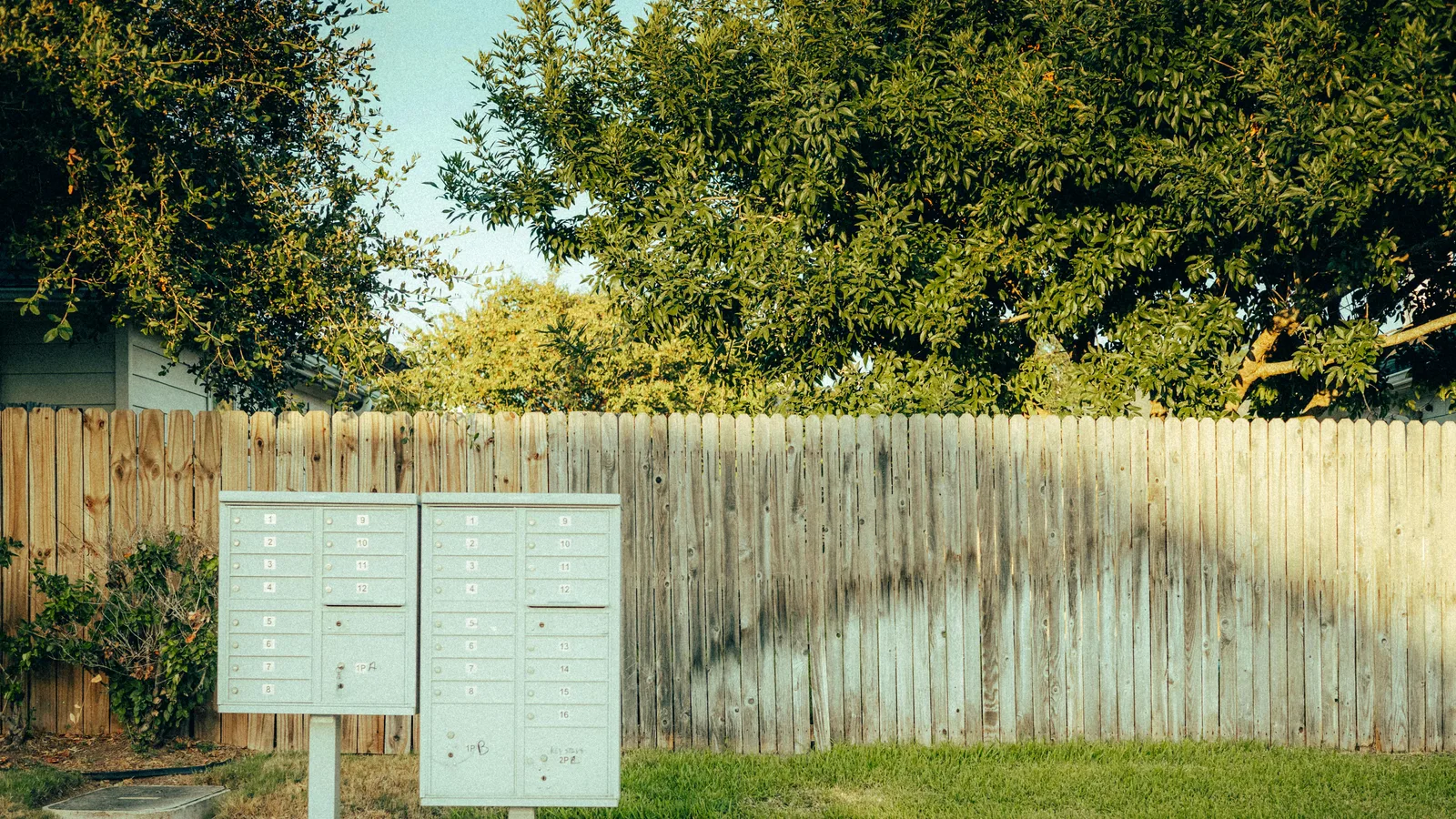 Letterbox vs Social Media: which one for local lead gen