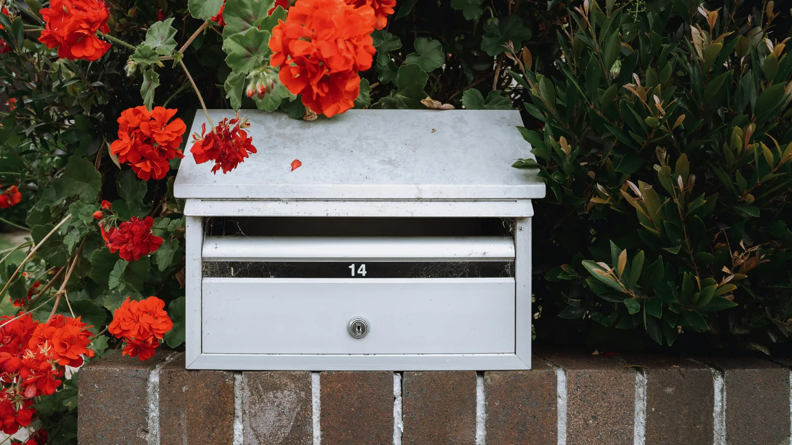 How to track the ROI of a letterbox drop